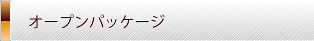 オープンパッケージ
