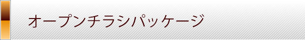 オープンチラシパッケージ